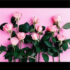 Meet your Posher, Isabel